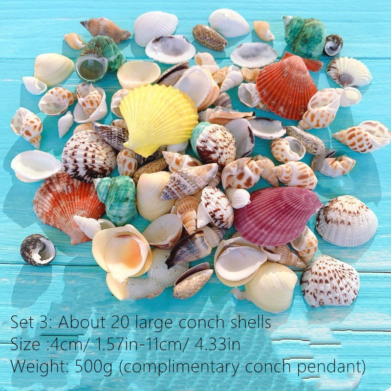 Aquarium Conch Shells Fake Sea Shells Conch Fish Tank - Temu