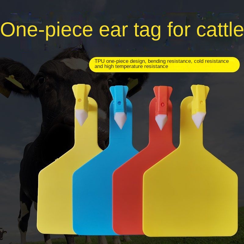 Farm Accessories Cow Ear Tag Identification Plate Ear Number - Temu