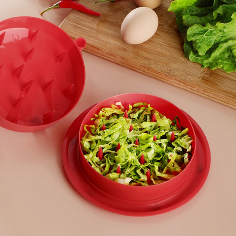 Tupperware Jumbo Salad On-The-Go 