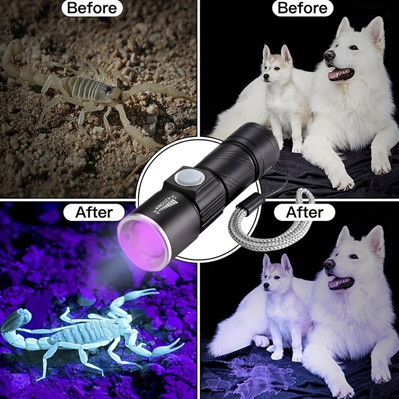 Mini Uv Flashlight 395nm Ultraviolet Torch Rechargeable - Temu