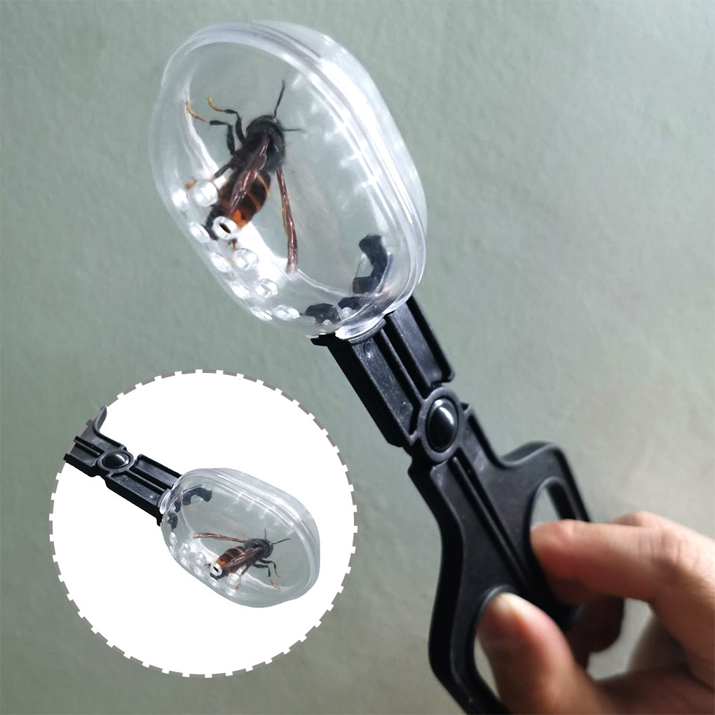 Portable Transparent Insect Catcher Scissor Indoor Outdoor - Temu Canada