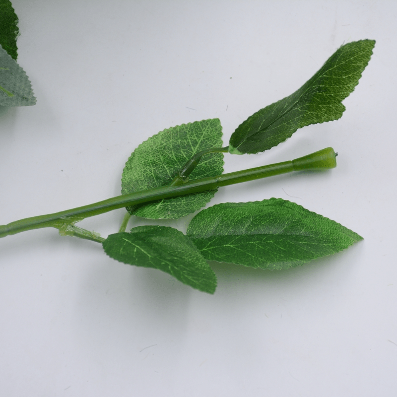 20 Rose Stem W/leaves Green 