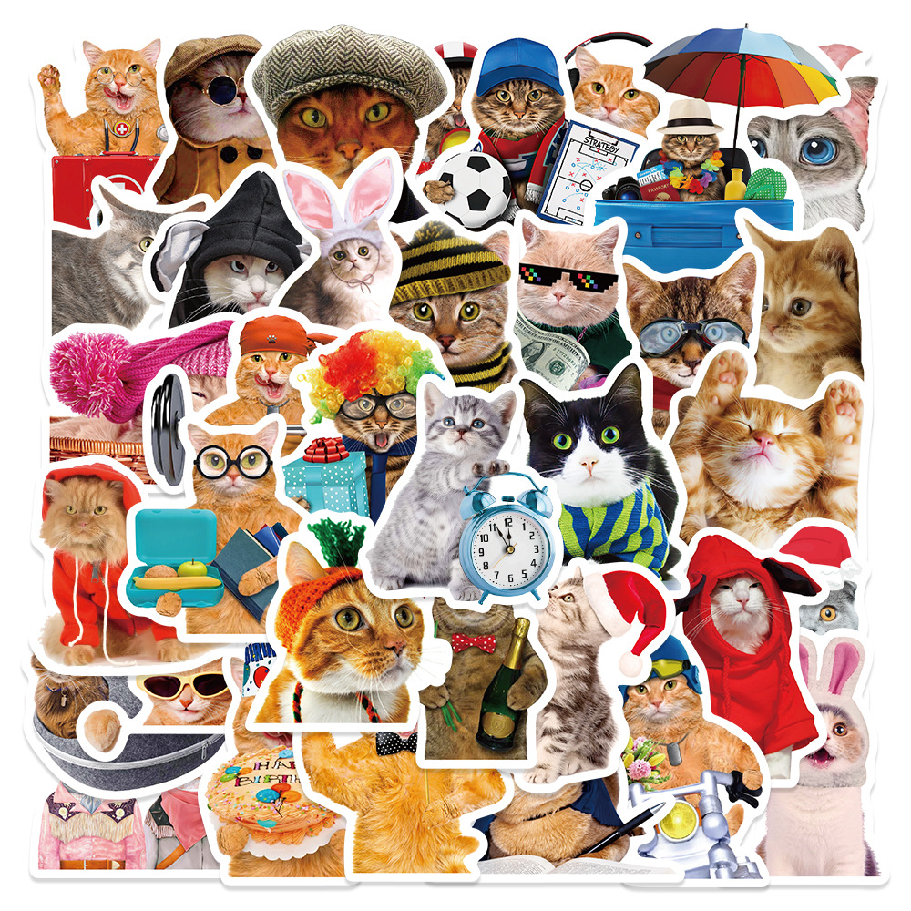 52pcs Cartoon Cool Warrior Cat Stickers For Laptop Stationery Scrapbook  Ipad Vintage Anime Sticker Pack Scrapbooking