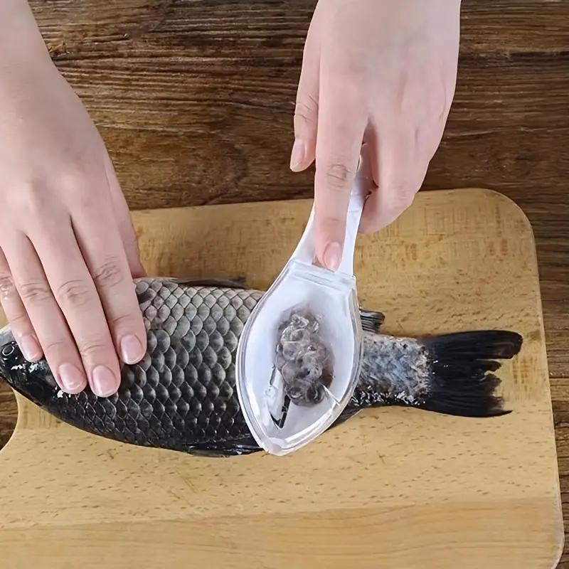 Fish Scale Remover Fish Scale Scraper Lid Plastic Gadgets - Temu