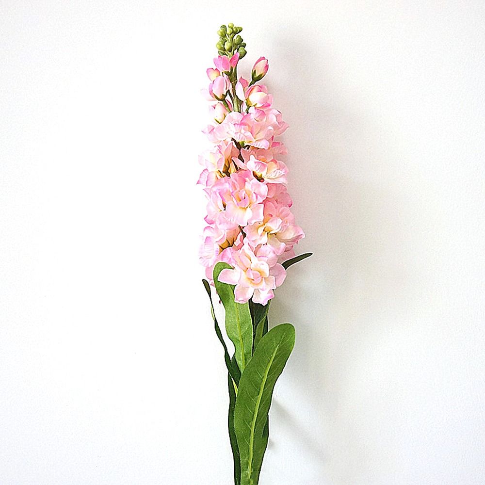 Pink Stock Flower Stem