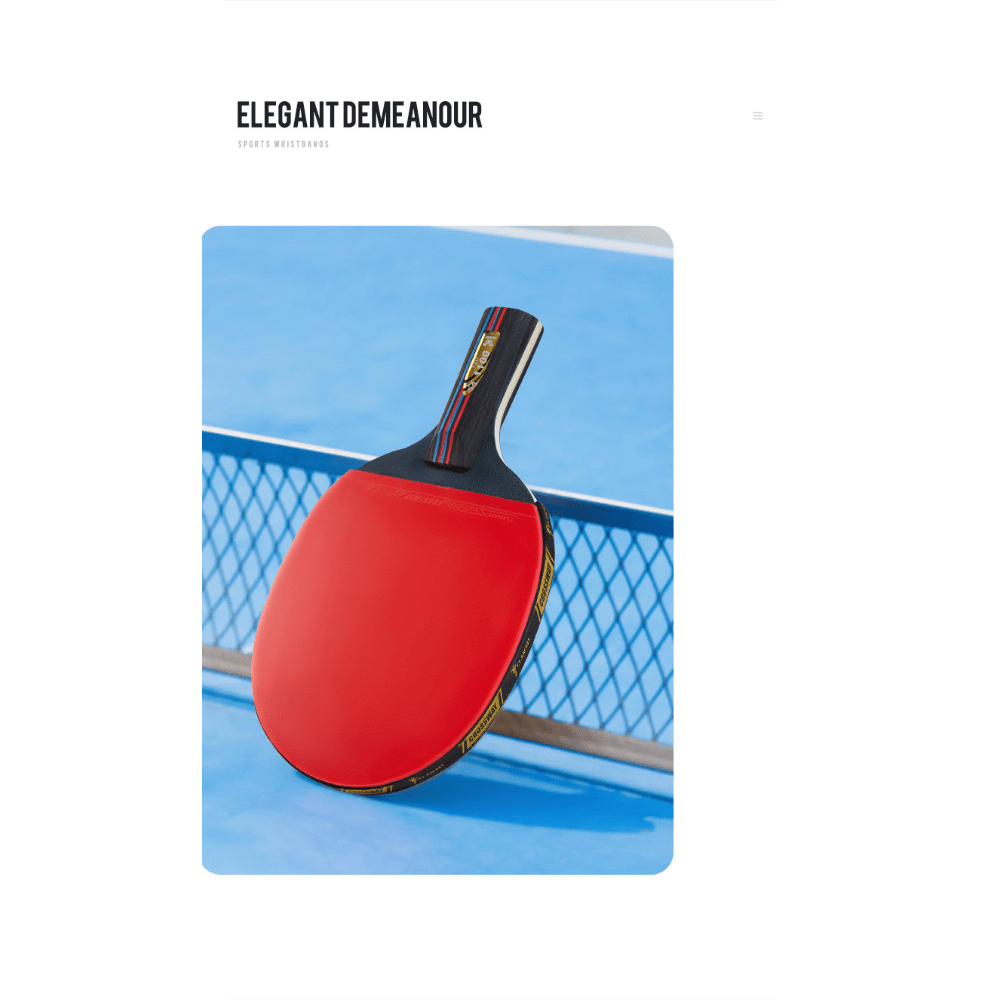 Comprar Pala de Ping Pong de Competición