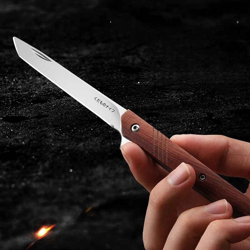 Portable Stainless Steel Fruit Knife For Outdoor Camping And - Temu