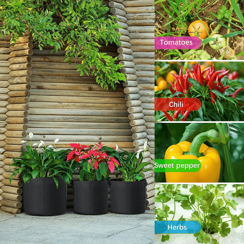 15 Gallon Grow Bags, Heavy Duty Grow Plant Bags With Durable Handles,  Non-woven Fabric Growing Planter Pots Indoor&outdoor, Garden Bags To Grow  Vegetables, Carrot&mushroom(black) - Temu