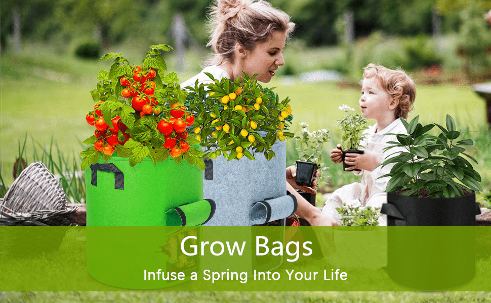 20 Gallon Grow Bags, Heavy Duty Grow Plant Bags With Durable Handles,  Non-woven Fabric Growing Planter Pots Indoor&outdoor, Garden Bags To Grow  Vegetables, Carrot & Mushroom (black) - Temu