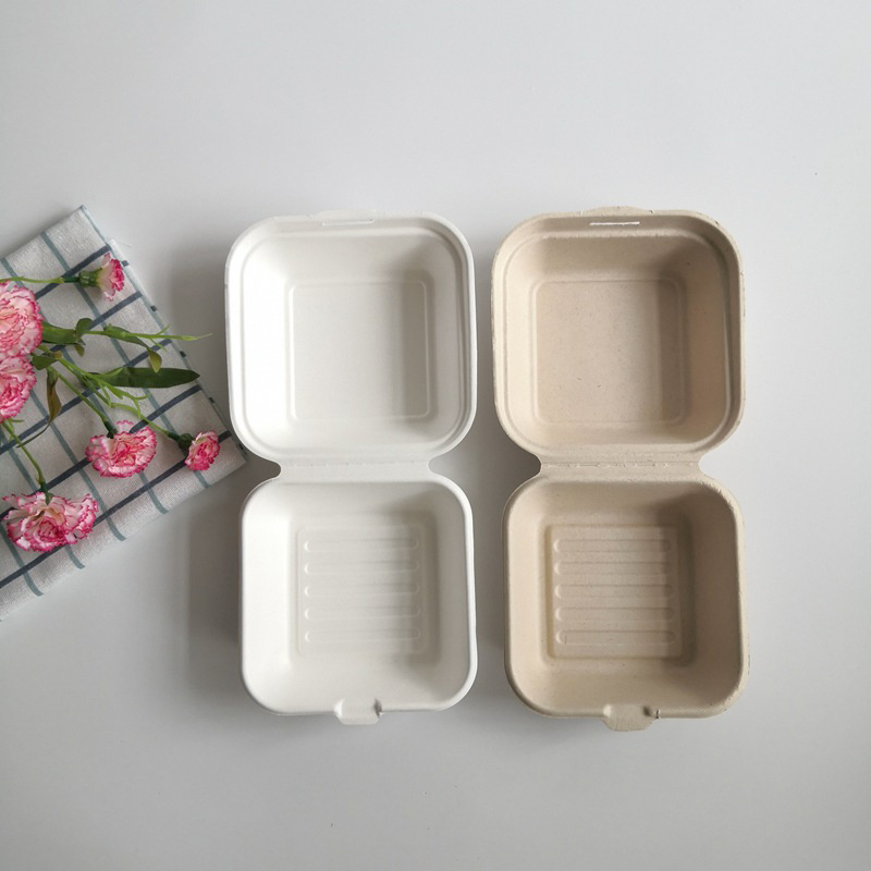 Disposable Biodegradable Food Boxes - Bento Lunch Boxes for Baking, Ca