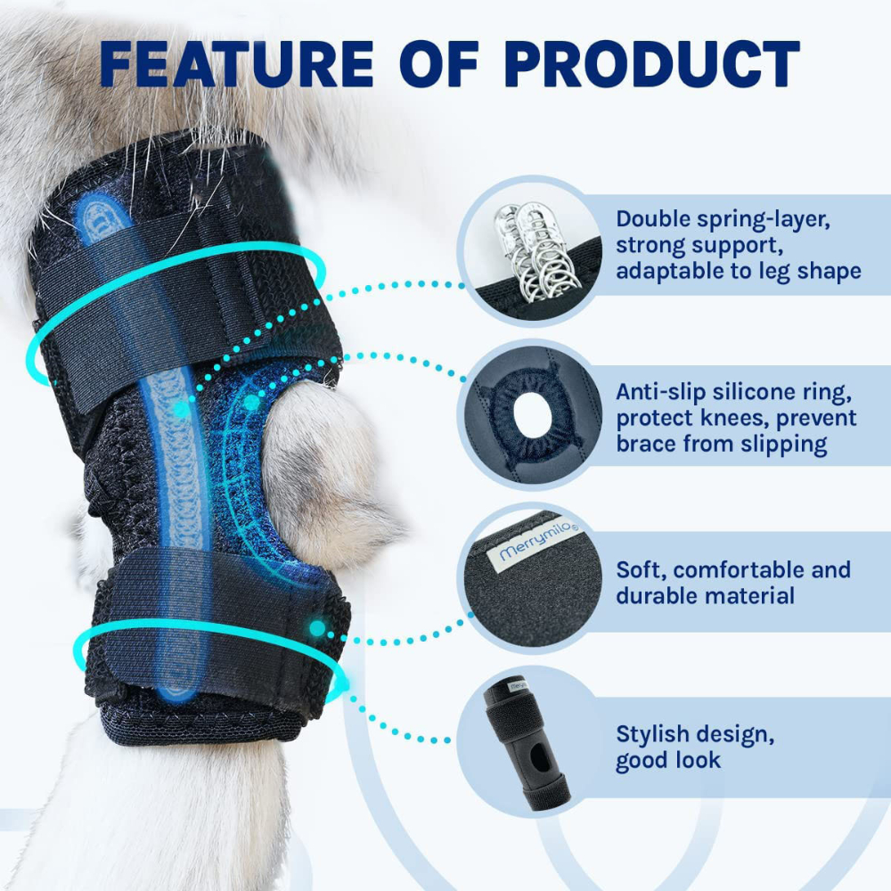 Housse De Protection De Jambe Avant Pour Animal De Compagnie Pour Éviter Le  Léchage, Genouillères Pour Animaux De Compagnie, Coudières Pour Chien