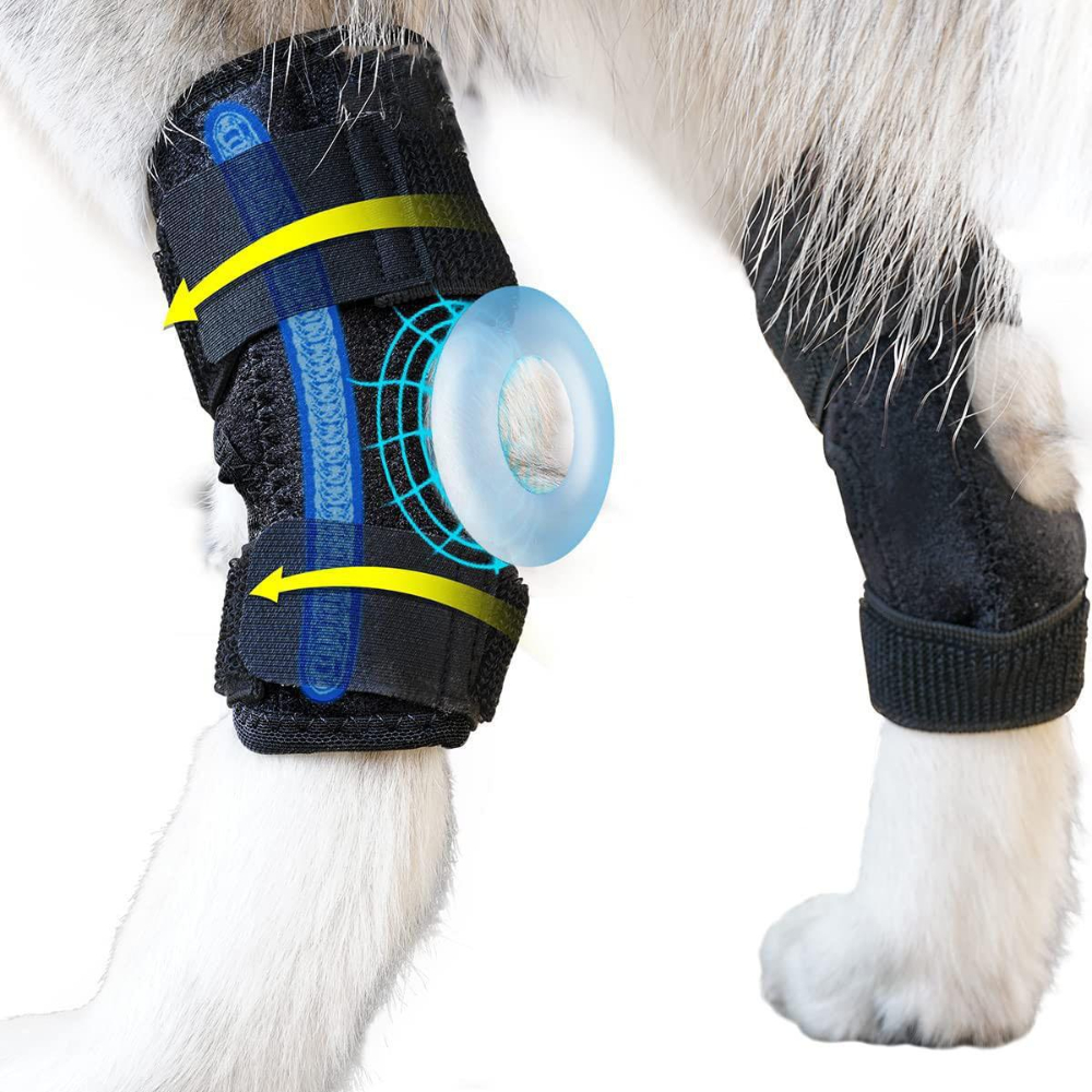 Protège-coude pour chien, protection Anti-léchage des épaules, coussinet  respirant, articulations des jambes, gaine pour animaux de compagnie