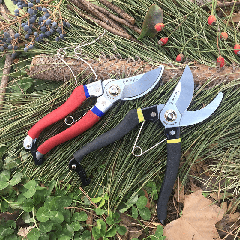 How To Choose The Best Pruning Shears