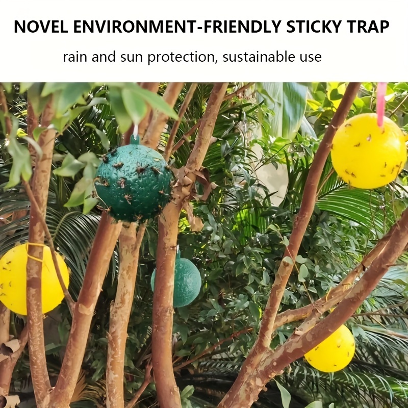 Sticky Insect Ball Fly Trap Mosquito Wasp Flying Insect Catching Tool,  Indoor And Outdoor Insect Traps, Indoor Outdoor House Kitchen Plants Trees  Flying Insects, Pest Control - Temu