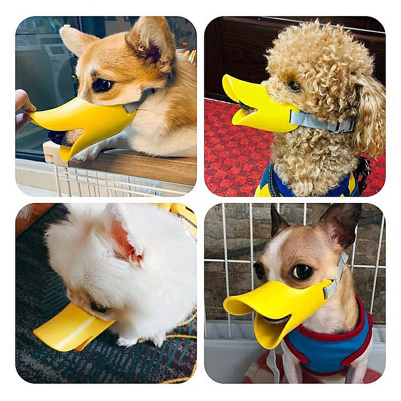 Duck dog outlet muzzle