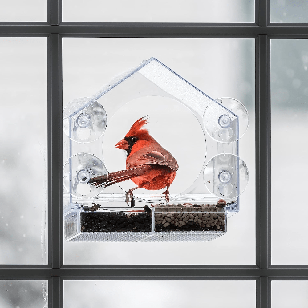 Clear Plastic Window Bird Feeder for Outside - Clear Window Bird Feeders  with Suction Cups - Transparent Bird Feeder Window Mount Acrylic Bird House  for Cat Window Perch 