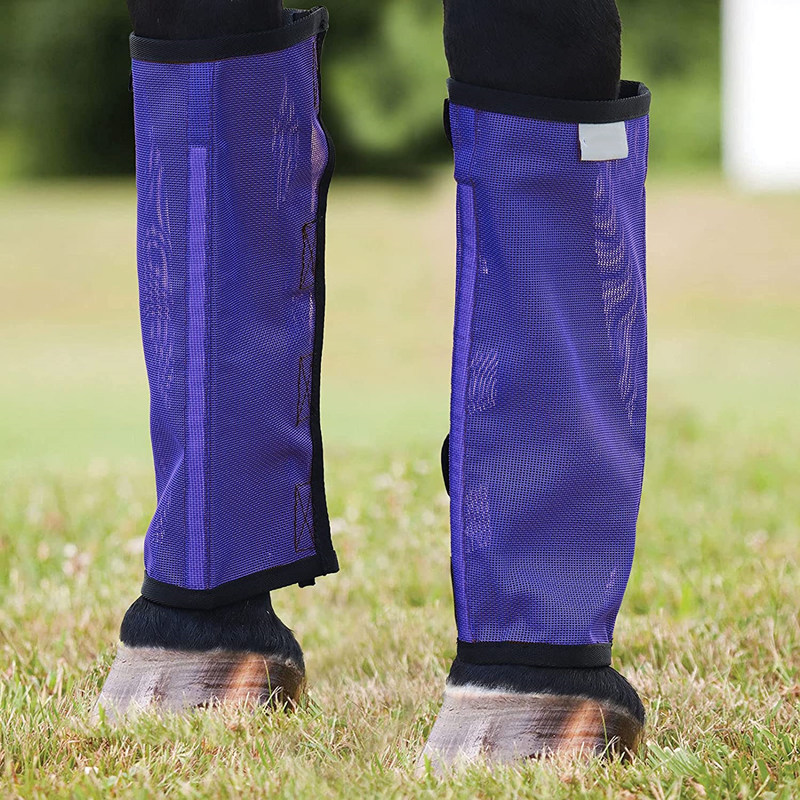 Fly protection clearance for horses legs