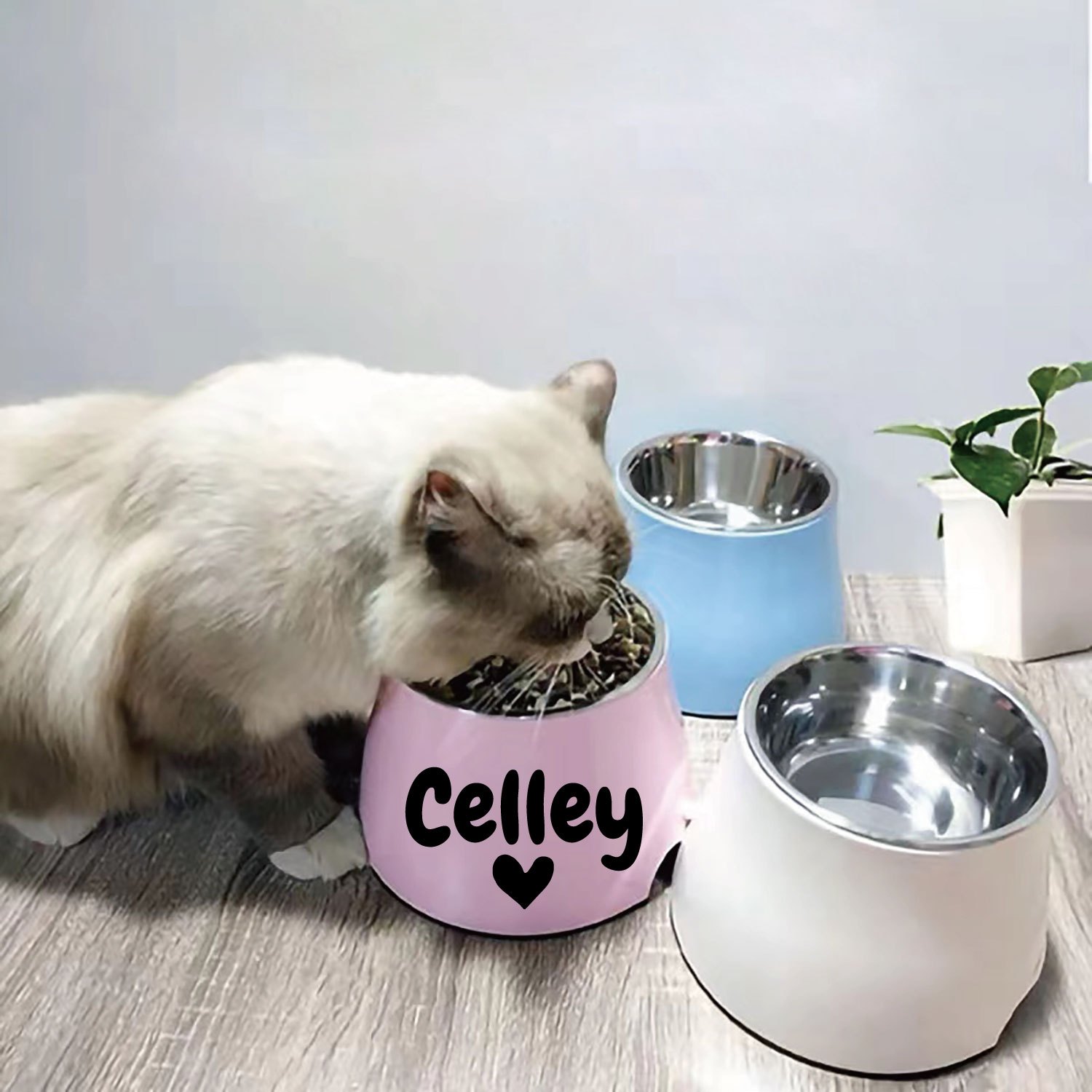 Elevated Dog Bowls & Cat Dishes - Custom Pet Feeder