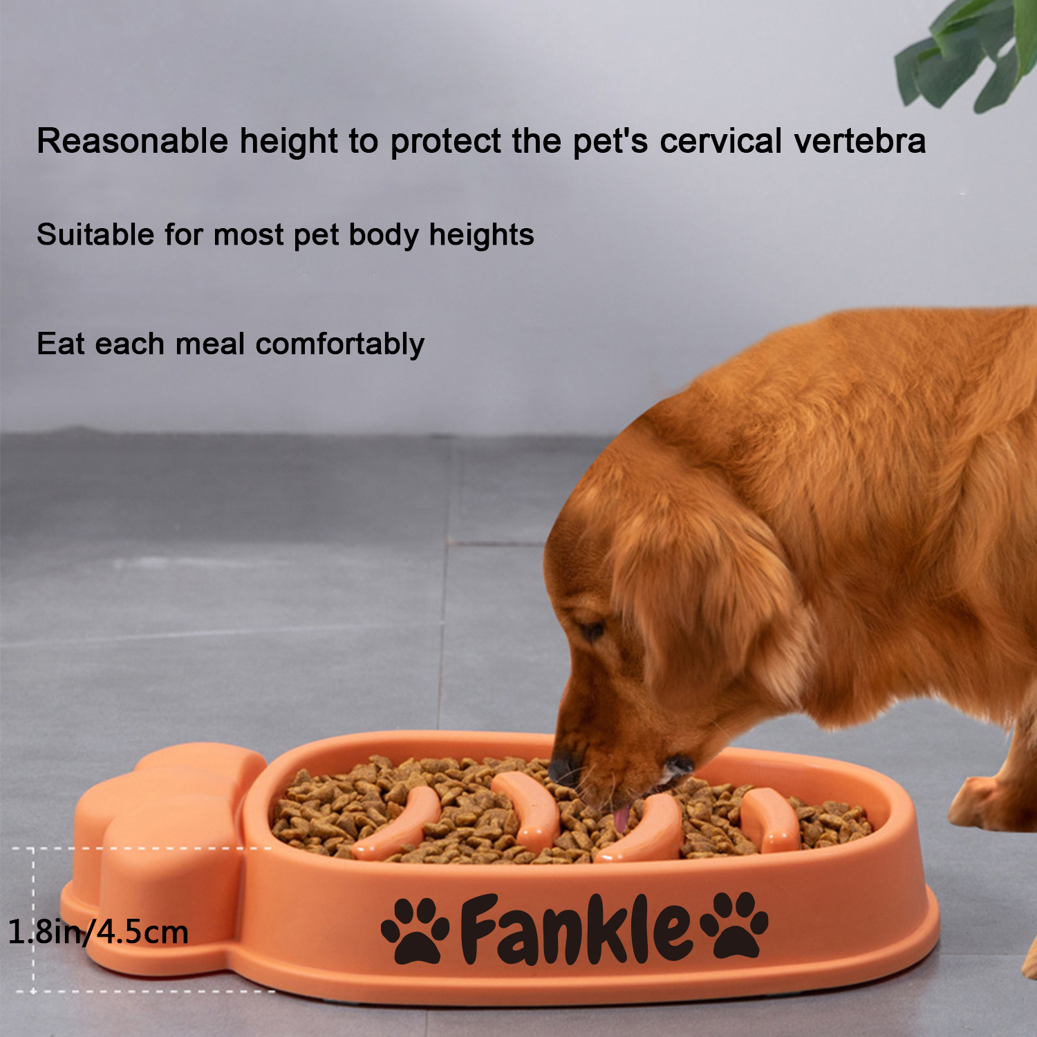 Personalized Large Dog Feeder 