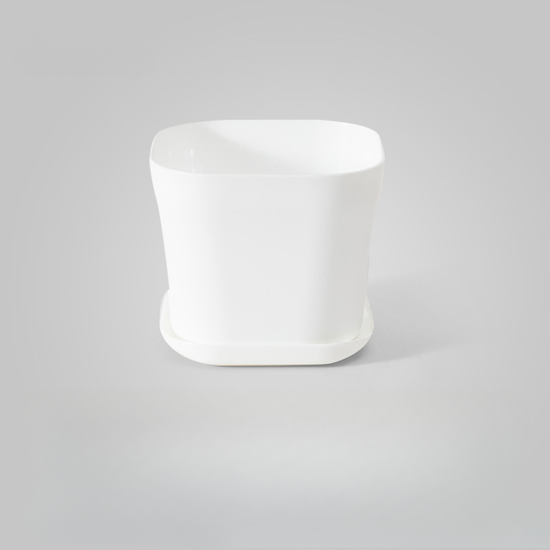 Vaso PVC barchetta con piante grasse - Valeria Import