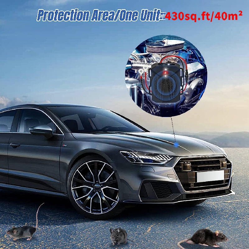 PROTECTION ANTI-RONGEUR - Accessoires Audi