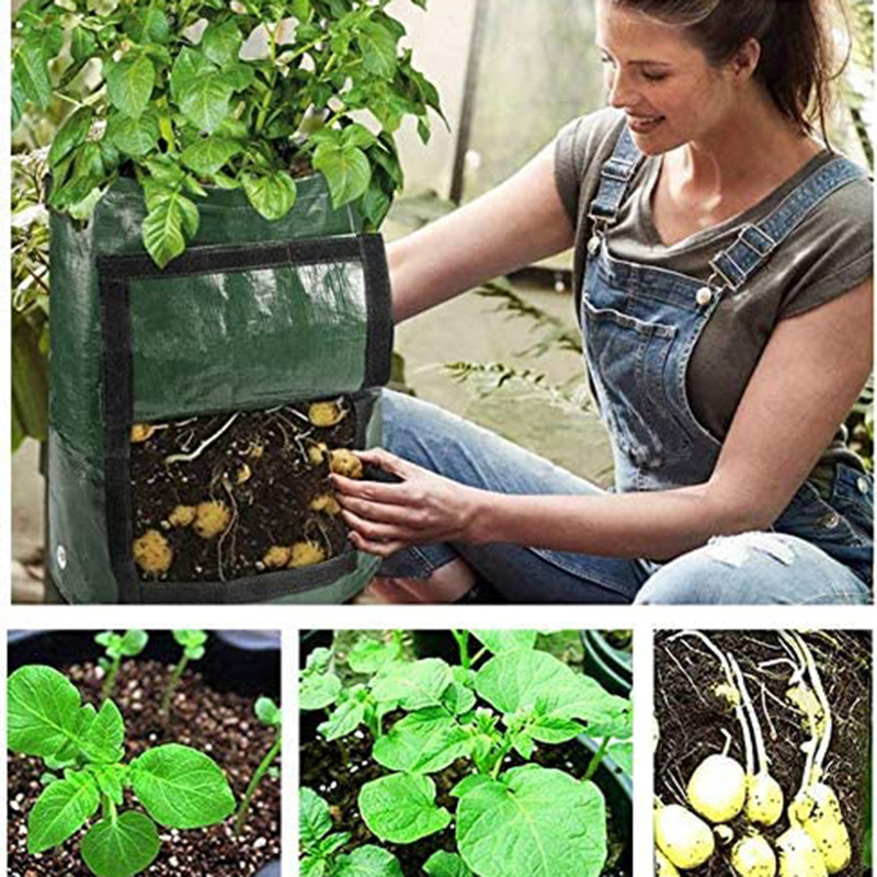 Premium 10-gallon Fabric Grow Bags 3-packs or 5-packs With Drainage Holes,  Handles and Harvest Window Perfect for Healthy Plant Growth 