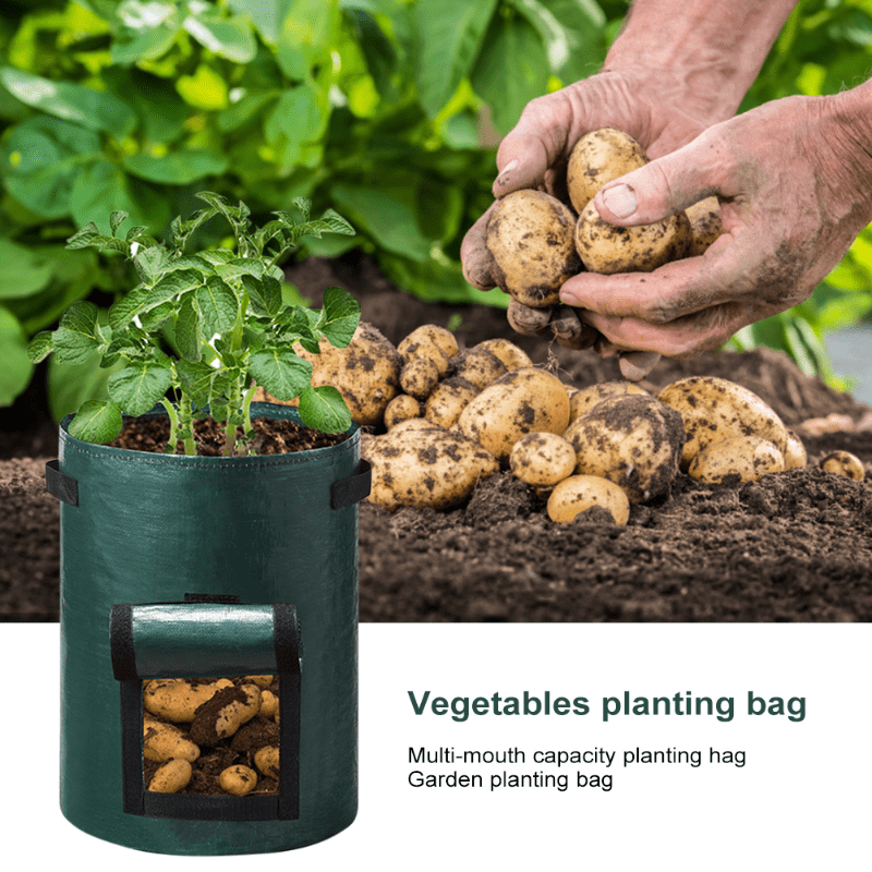 Potato Grow Bag Garden Vegetables Plant Bags  Garden Supply Grow Bags  Potato - Grow Bags - Aliexpress