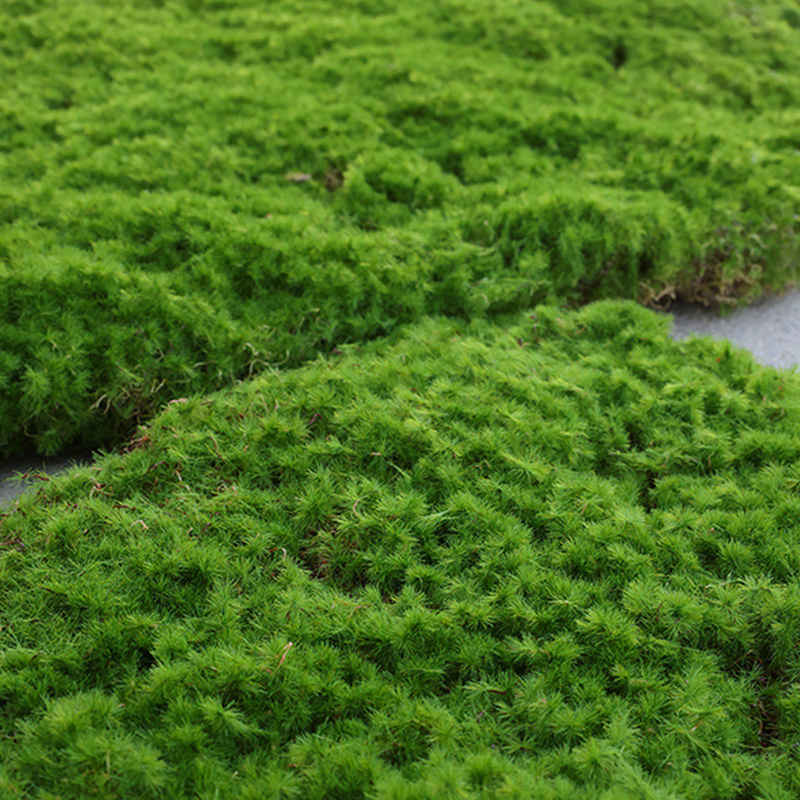 Artificial Grass Turf Simulation Moss Mat Faux Garden Grass - Temu