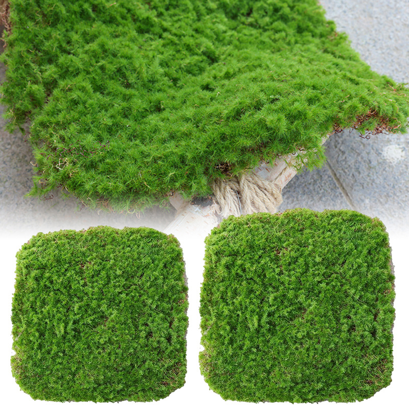 Quality Simulation Artificial Moss Grass Block Turf Mat Wall Green Plants  DIY Home Lawn Mini Garden Home Micro Landscape Decora