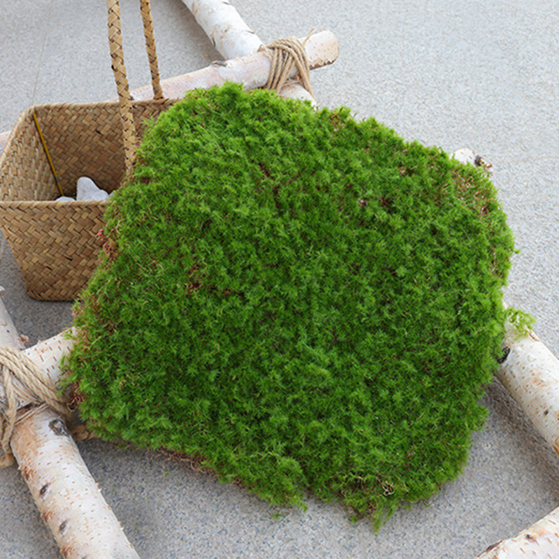 Artificial Simulation Grass Fake Moss Home Office Garden Micro