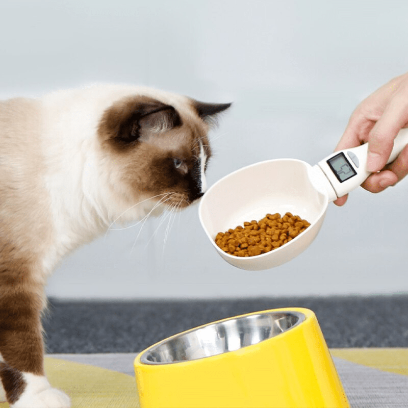 1 Báscula Digital Alimentos Báscula Alimentos Mascotas - Temu