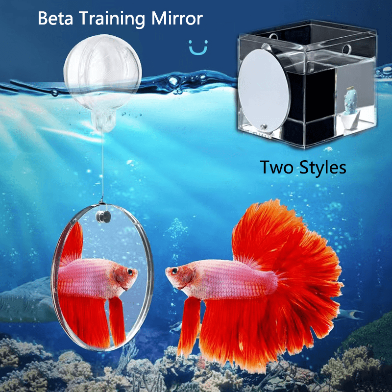 Aquarium Betta Mirror Betta Exercise Mirror Fish Tank Floating Round Mirror  For Fish Betta Training, Free Shipping On Items Shipped From Temu