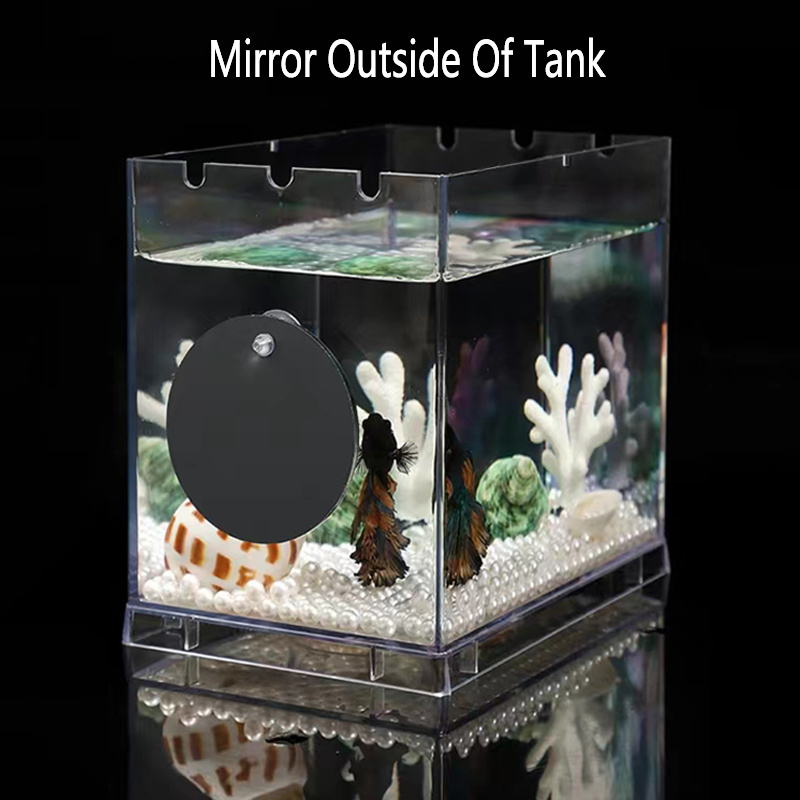 Aquarium Betta Mirror Betta Exercise Mirror Fish Tank Floating Round Mirror  For Fish Betta Training, Free Shipping On Items Shipped From Temu