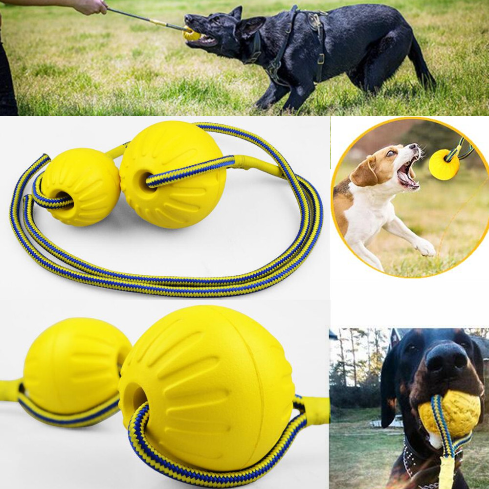 

Interactive Dog Toy Ball With Rope Durable Dog Chew Toy Eva Elastic Floating Ball For Dog Training And Playing Supply