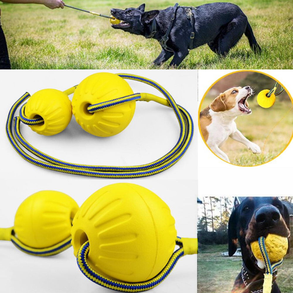 Juguetes interactivos para perros con cuerda y bola chirriante, juguetes  duraderos para perros para aburrimiento y estimulación, juguetes de tira y