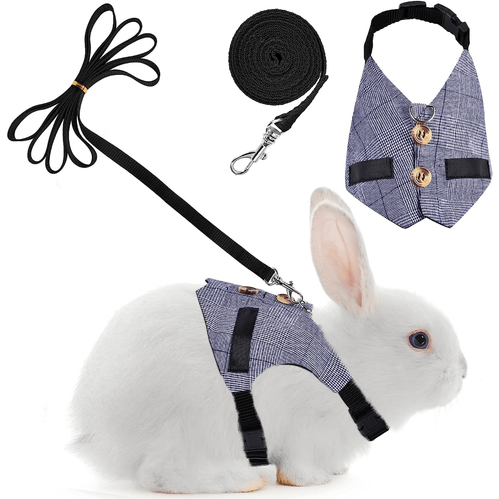Rabbit Vest Small Animal Outdoor Walking Harness and Leash Set Cute Clothes  for Puppy Kitten Bunny Pigs Chinchillas Necklace - AliExpress