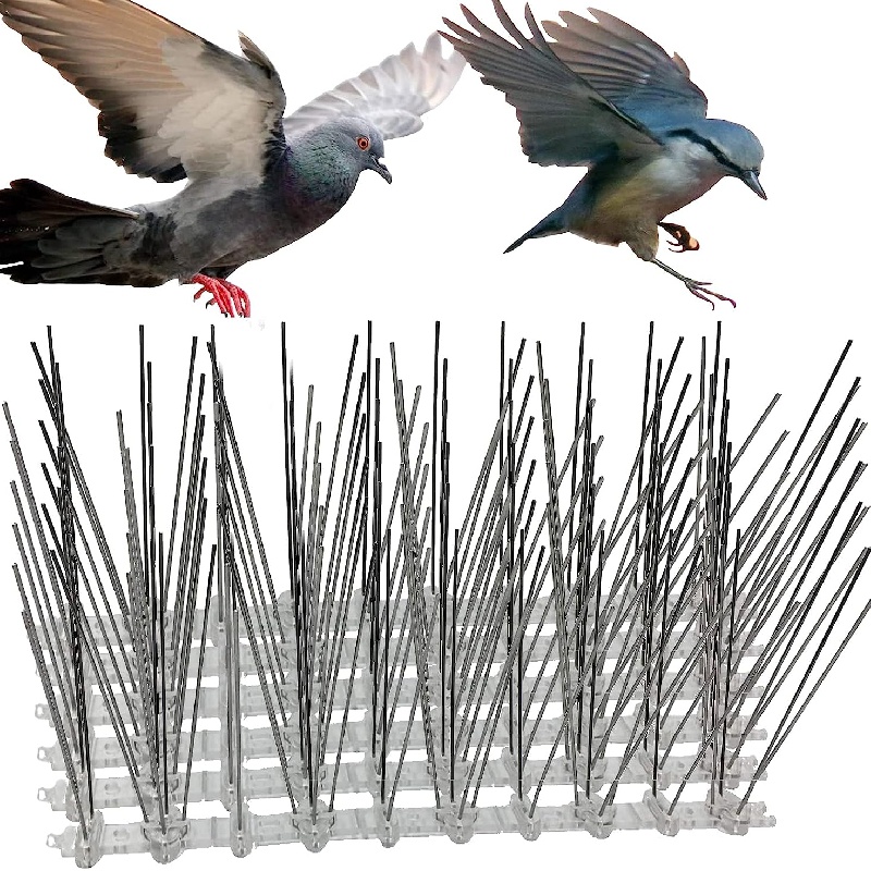 5m Anti-pigeons Pointes Balcon Anti-oiseaux Inox Epouvantail pour Oiseaux  10 Pcs