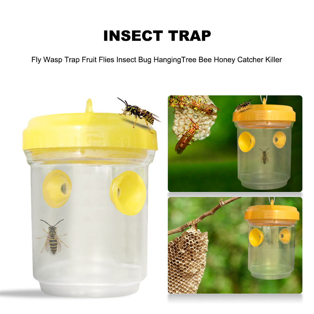 Fly Wasp Insect Trap Fruit Flies Insect Bug Hanging Tree Honey