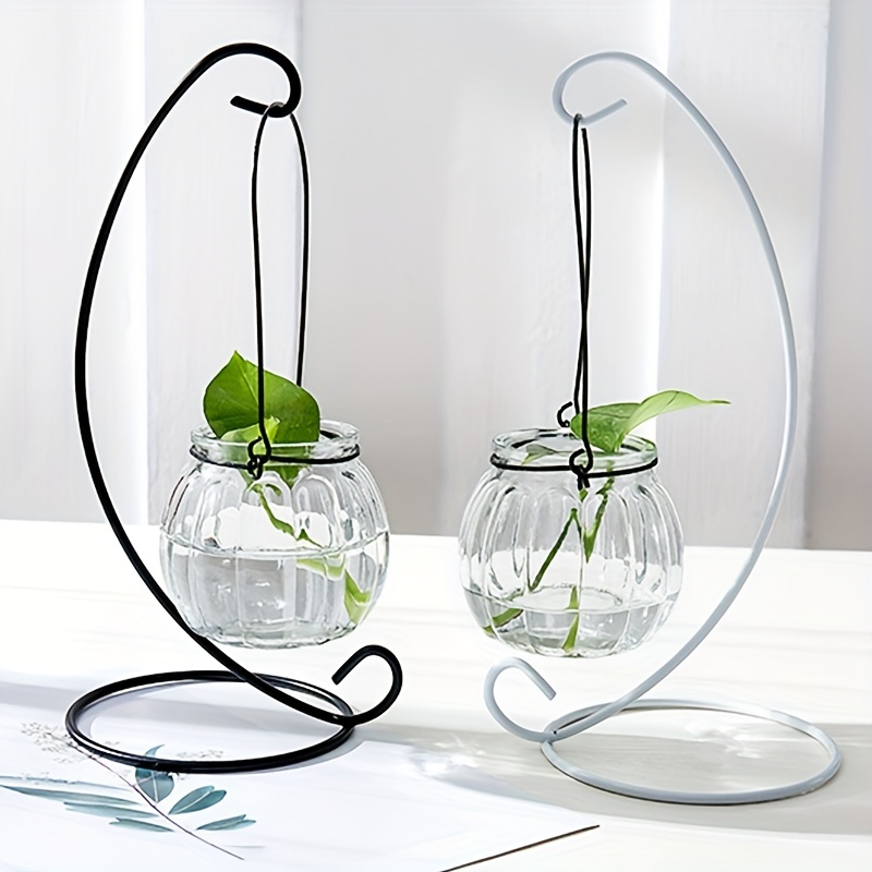 エアープランツ付きガラスハンギングテラリウム エア プランツ ガラス