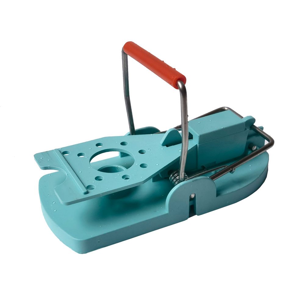 Colorful Plastic Mouse Trap With Cage Catcher For Small Mice