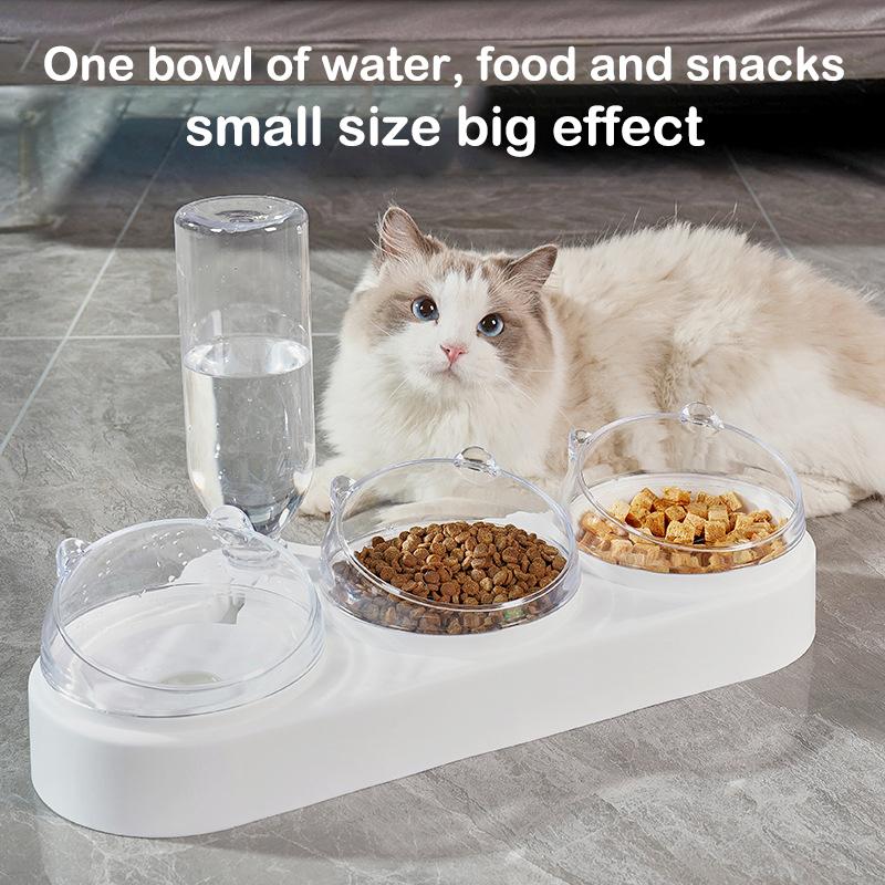 Pet Water & Food Bowl Set, Double Bowls With Automatic Water Dispenser  Bottle For Small Dogs & Cats - Temu