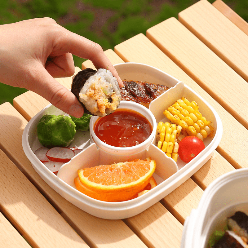 Outdoor Camping Lunch Box Salad Bento Box With Compartments - Temu