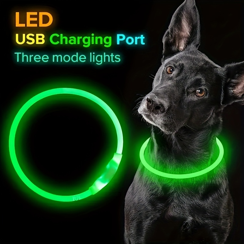 LED Dog Collar, Australia's Coolest Pet Supplies