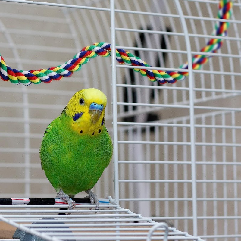 Rope perches for outlet parrots