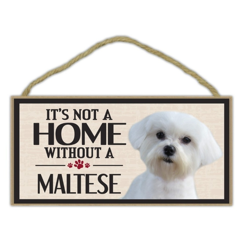 Maltese dog sale accessories