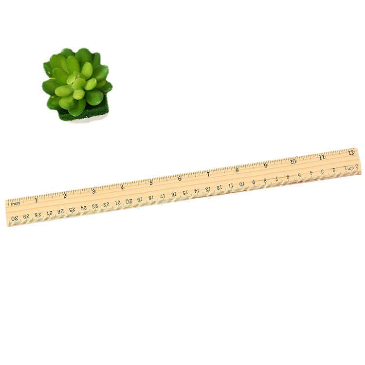 ZEONHEI 72 Packs 12 Inch 30cm Wood Rulers, 2 Scale Wood Rulers Bulk  Measuring Ruler Office Ruler for Classroom Students, Teachers, Experiments,  Crafts