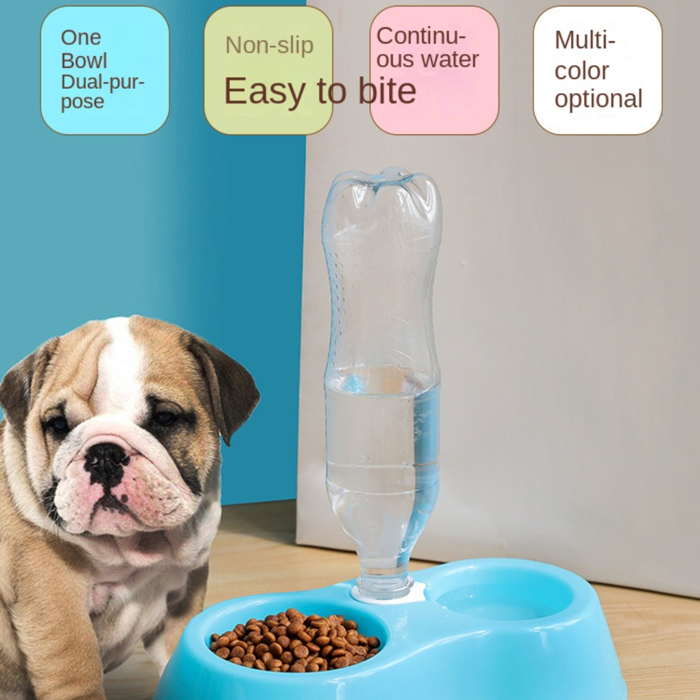 How to Make a Simple Gravity Water Dispenser for Your Pets! 