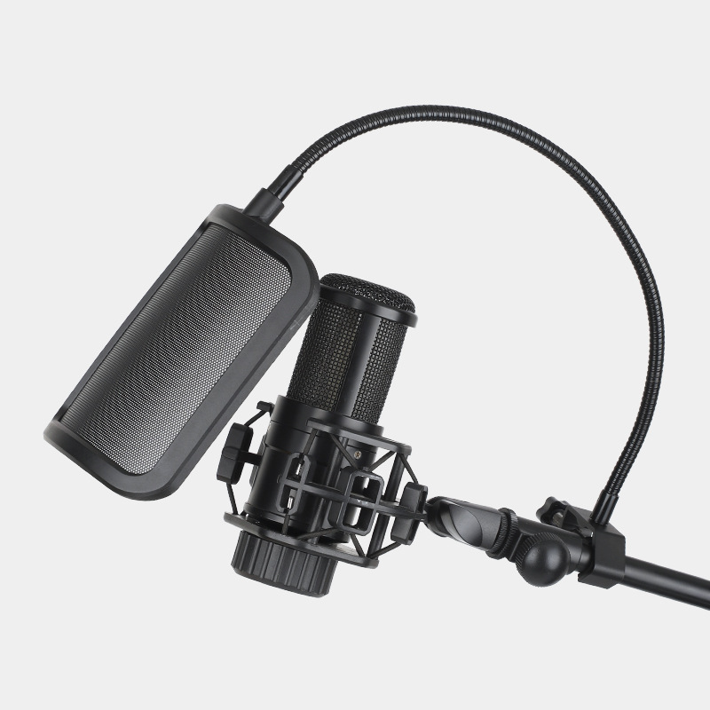 Microphone In A Professional Recording Or Radio Studio Equipment