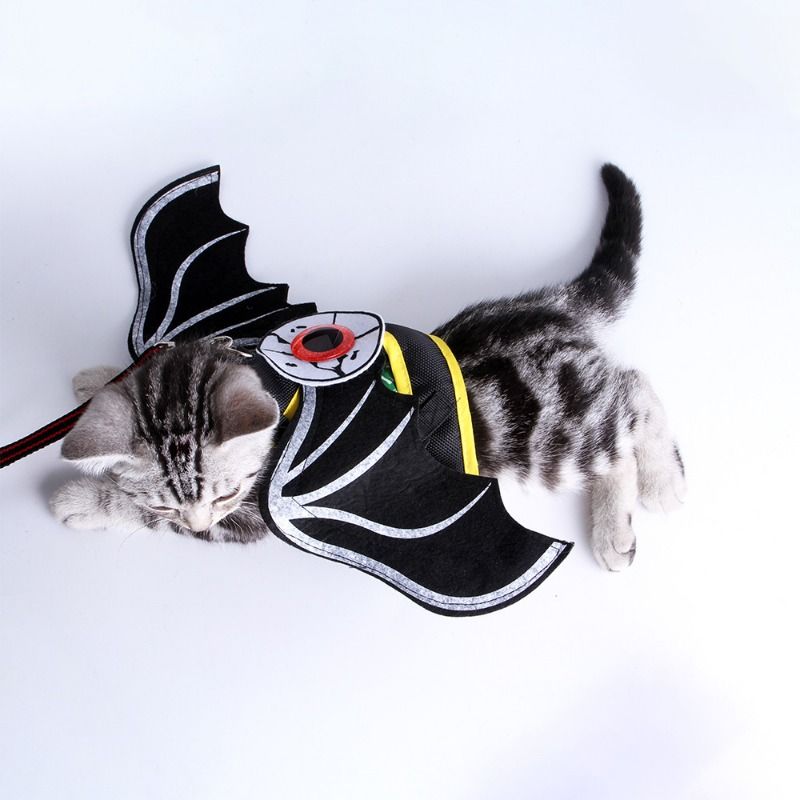 Black Cat Halloween Costume, 2-3T