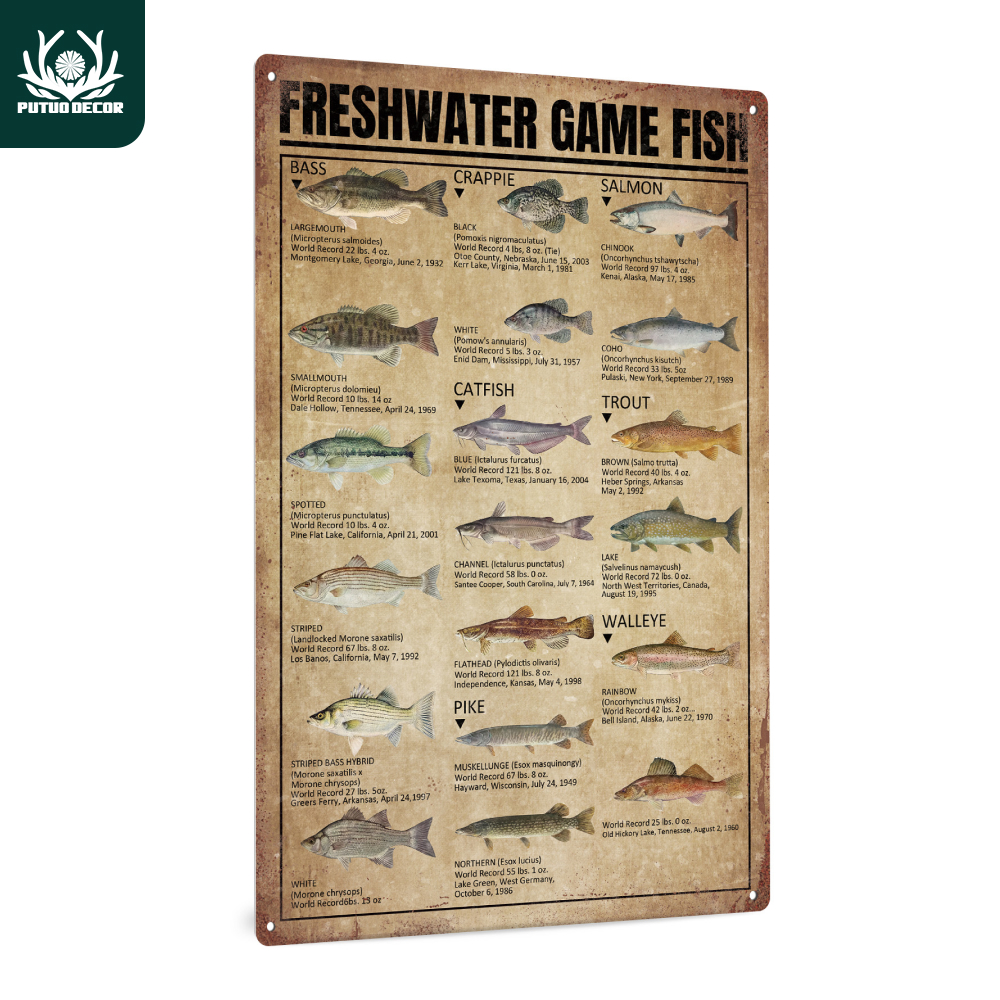 fly Fishing Knowledge Metal Tin Sign Vintage Plaque Decor - Temu